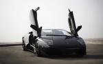 Lamborghini Murcielago LP640 Roadster Versace 2008 года